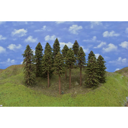 Smrkový les, 15-26 cm, 14 ks.