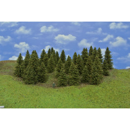 Spruce forest, 5-12cm, 43 pcs.