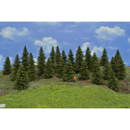 Smrkový les, 5-10 cm, 25ks.
