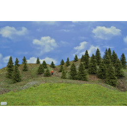 Spruce forest, 3-8cm, 30 pcs.