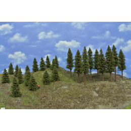 Smrkový les , 5-15 cm, 25ks.