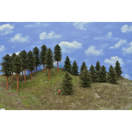 Pine forest, 8-17cm, 20 pcs.