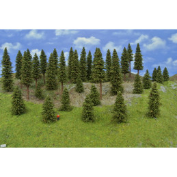 Spruce forest, 5-15cm, 35 pcs.