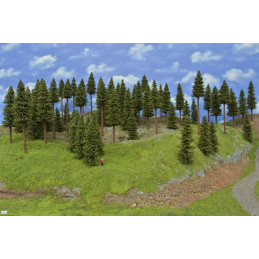 Spruce forest, 8-20cm, 66 pcs.