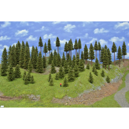 Spruce forest, 4-20cm, 76 pcs.