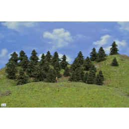 Pine forest, 3-6cm, 35 pcs.