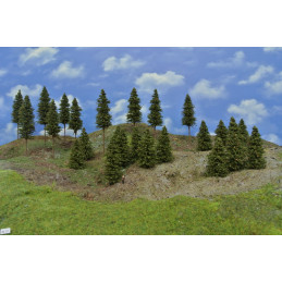 Spruce forest, 4-8cm, 30 pcs.