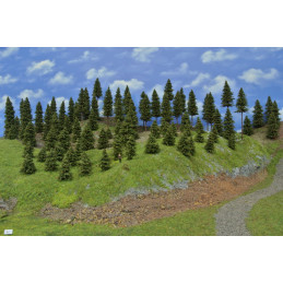 Spruce forest, 3-19cm, 85 pcs.