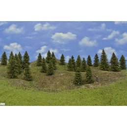 Spruce forest, 5-10cm, 25 pcs.
