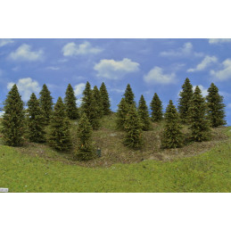 Spruce forest, 7-12cm, 18 pcs.